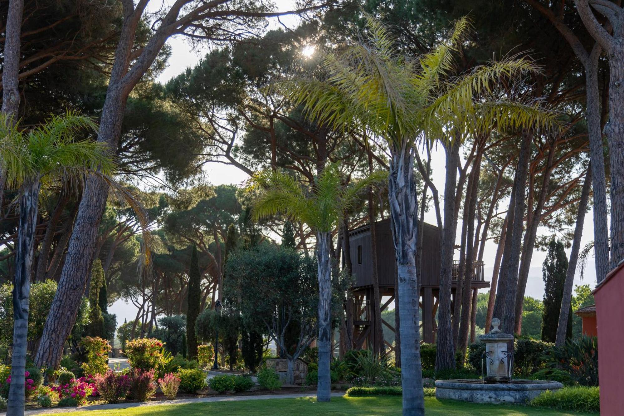 Hotel La Signoria Calvi  Exteriér fotografie